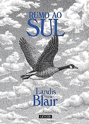 Novela Gráfica 25 IMAGENS 04 – Rumo ao Sul, de Landis Blair